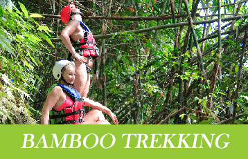 Bamboo Trekking